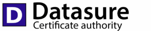 Logo Datasure